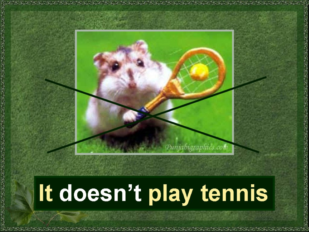It doesn’t play tennis